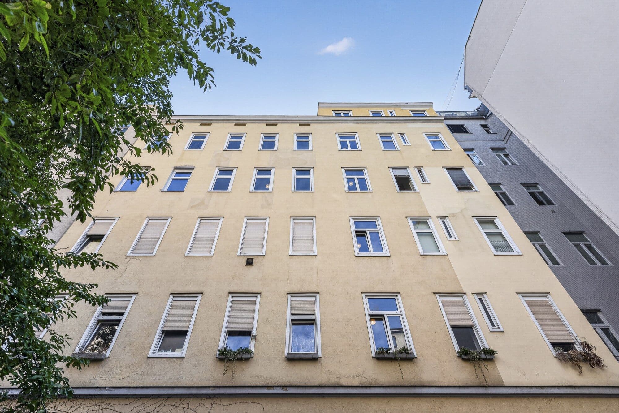 Courtyard elevation