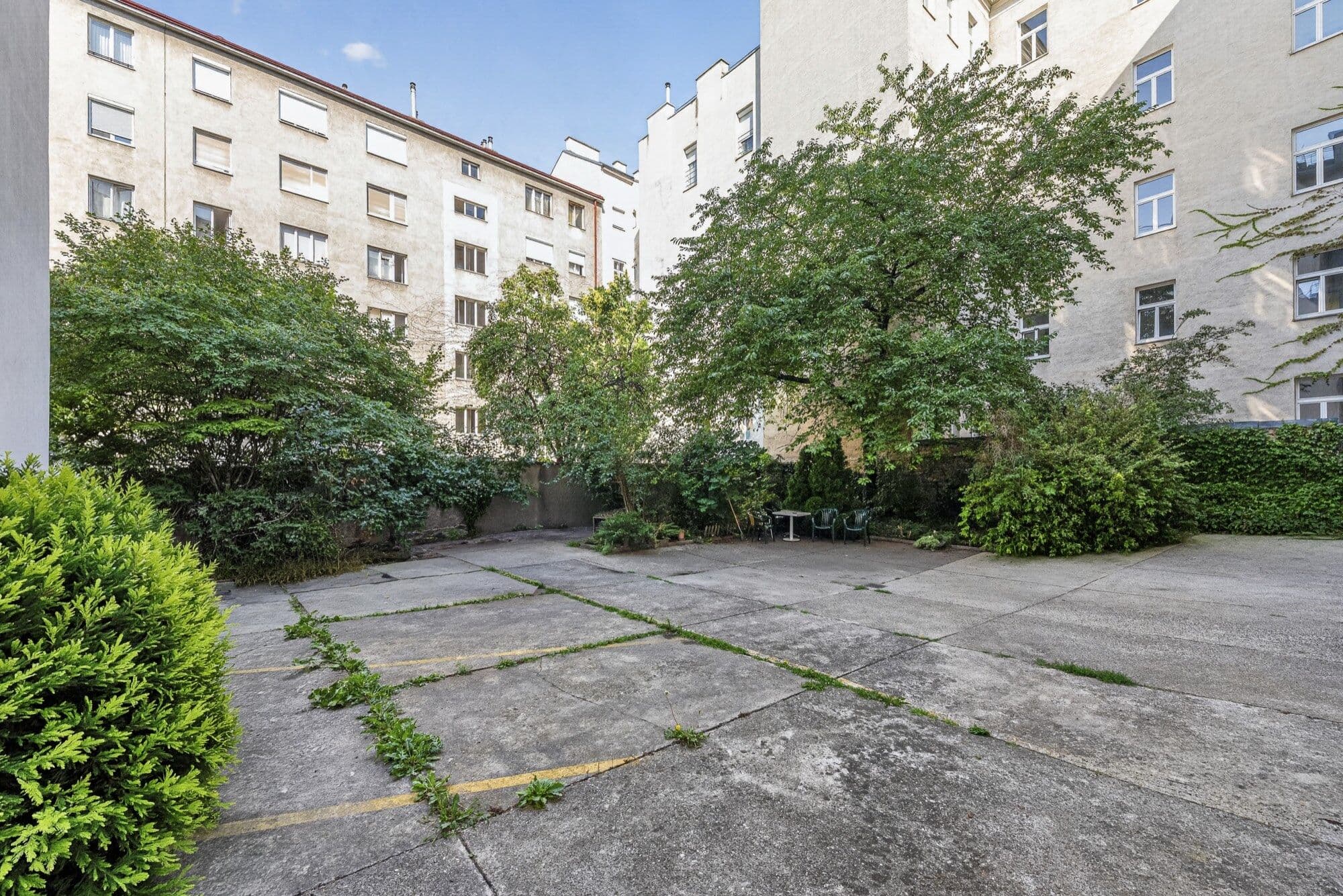Courtyard garden